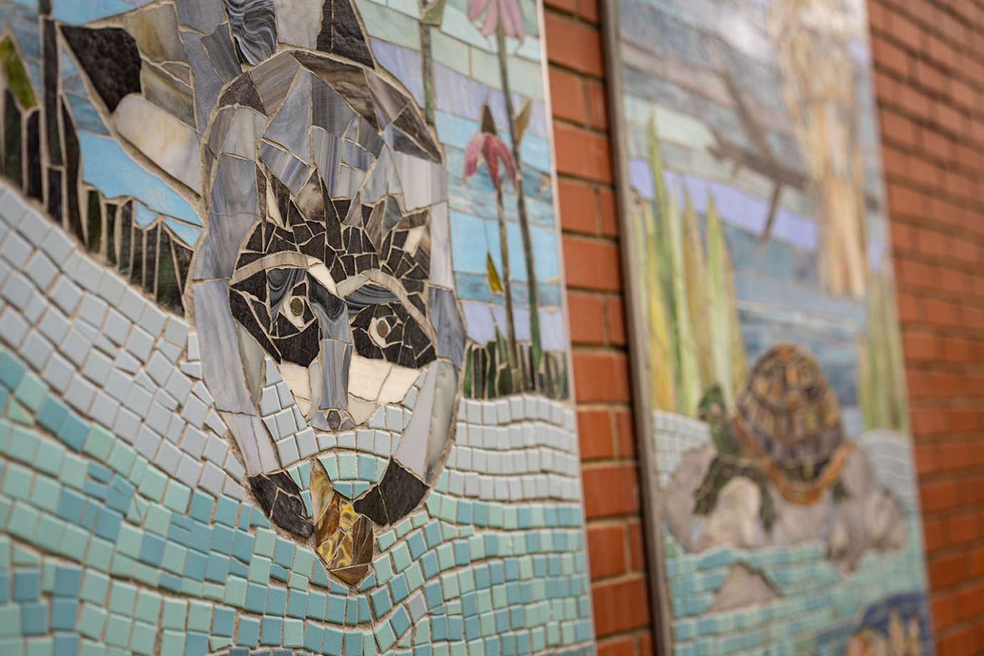 A mosaic artwork depicts a racoon washing a shell