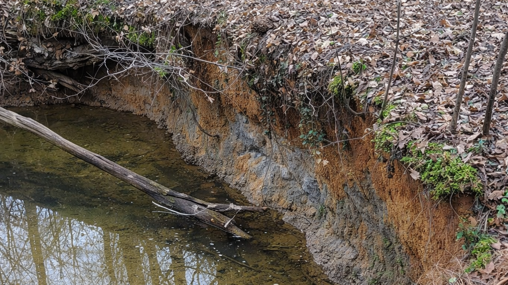 Old English Court Stream Erosion