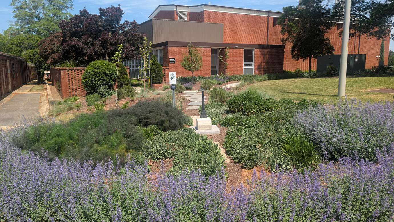 Dix Park - Healing Garden