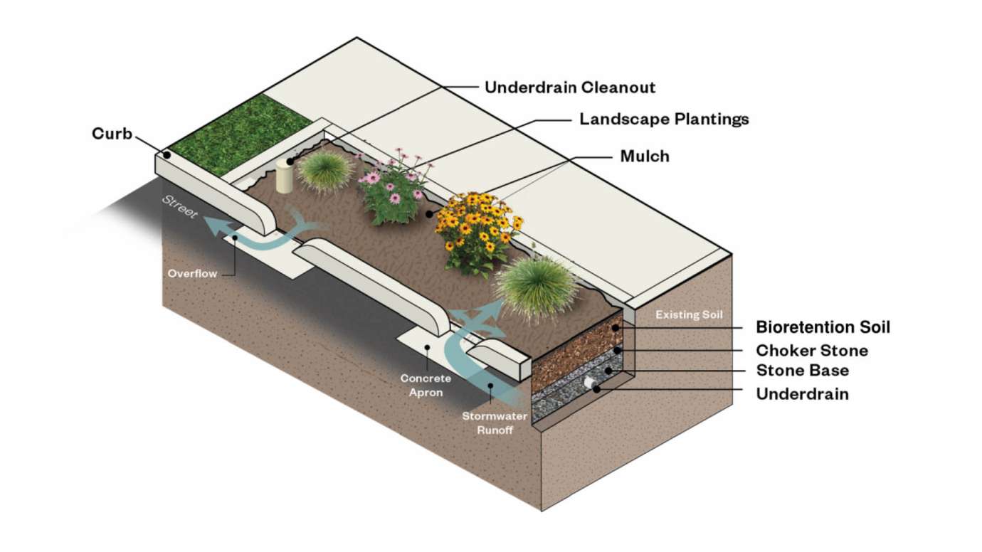 Peterson Street Bioretention Area | Raleighnc.gov