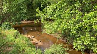 Neuse river stream