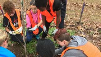 volunteer kids planting a tree