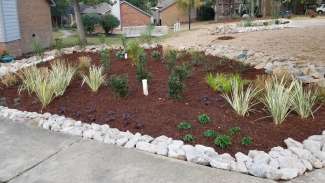 A garden with green plants that clean rainwater flowing from the driveway