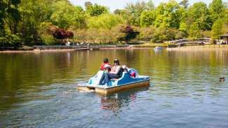 Family of four using a pedalboat at Pullen Park lake