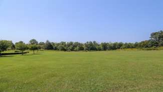 A large open field located near the large picnic shelter 