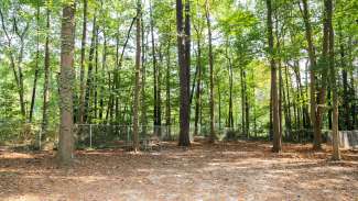 Fenced in area with trees for dogs to play at Carolina Pines dog park.