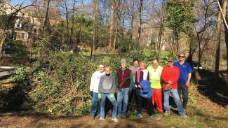 Parks volunteers standing with cleared invasive plants 