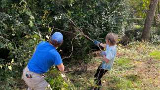 Volunteer helping Raleigh parks staff clear invasive plants