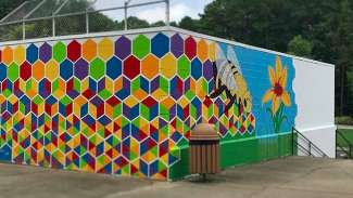Mural with rainbow honeycomb, bee and flower on Peach Road