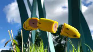 A tiny segmented banana art piece by Graymon Ward in Fred Fletcher Park