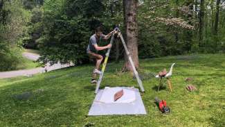 Matthew Steele working on a ladder in a yard with a dog