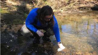 Stormwater staff collecting water samples in a stream using a bottle