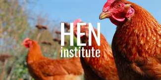 Brown chickens with the words Hen Institute