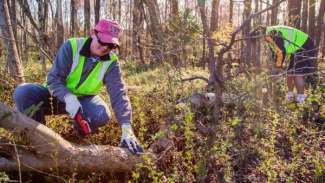 Two people in woods cutting back brush