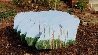 An installation by Scott Hazard called Hidden Rock #1, outside of Annie Louise Wilkerson, MD Nature Preserve Park