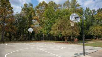 Basketball court with two hoops surrounded by green trees