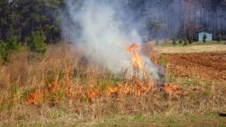 Underbrush at park being burned by flames