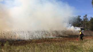Smoke rising from ground with fire person safely monitoring