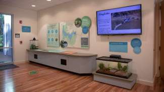 Indoor exhibit with information boards, screen, and turtle home