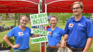 Three staff smiling with signs about insects and pollinators