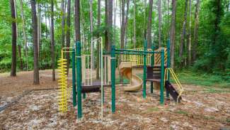 Playground equipment with climbing steps and slides with woodsy background