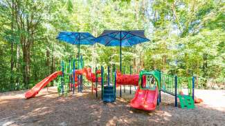 Playground equipment with climbing steps and slides with trees in background