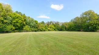 Wide view of multipurpose field with trees in distance