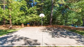 Basketball court with trees in background