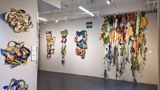 An exhibition by Ann Roth entitled Serendipity hangs in a gallery space at Artspace