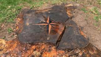 A tree stump turned into a compass