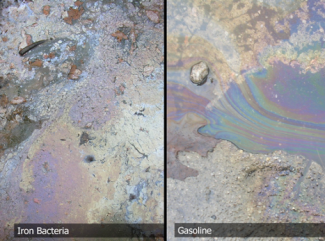 Visual of iron bacteria and gasoline in a stream.
