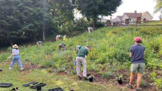 volunteers working in a pollinator protection area