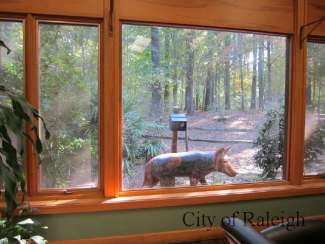 Outdoor wolf sculpture looking in a large window at Sertoma Arts Center. 