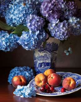 Painting of a hydrangea in a vase and peaches rolling around in a classical still life style 