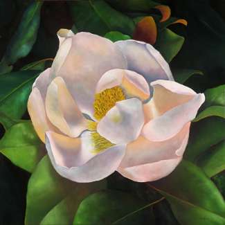 Oil painting of a white flower.