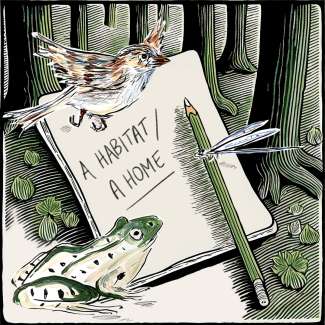 A Habitat A Home art project