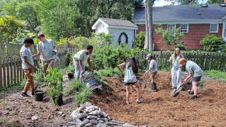 Rain Garden Apprenticeship