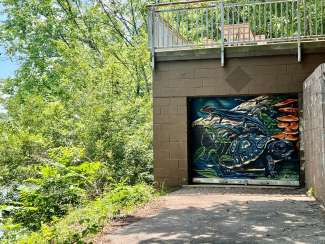 Mural of turtle and anole on a garage door set back in the trees of Shelley Lake Park