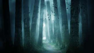 a spooky scene from a nightmare