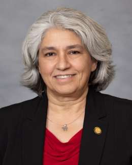 Headshot of LIs Grafstein wearing a dark blazer with a maroon colored shirt
