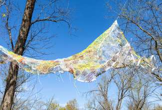 Woven artwork is suspended from the trees