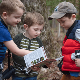 Kids doing an activity in the woods