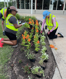 People volunteering working on a garden