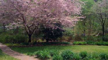 Joslin Garden | Raleighnc.gov