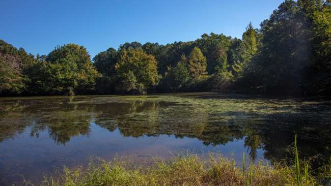 Laurel Hills Park | Raleighnc.gov