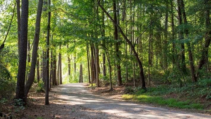 Thomas G. Crowder Woodland Center | Raleighnc.gov